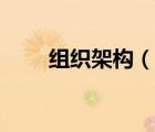 组织架构（说一说组织架构的简介）