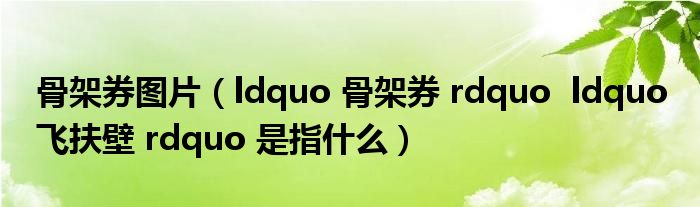 骨架券图片（ldquo 骨架券 rdquo  ldquo 飞扶壁 rdquo 是指什么）