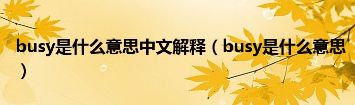 busy是什么意思中文解释（busy是什么意思）