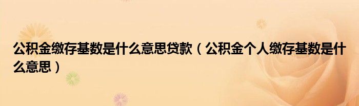 公积金缴存基数是什么意思贷款（公积金个人缴存基数是什么意思）