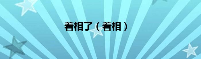 着相了（着相）