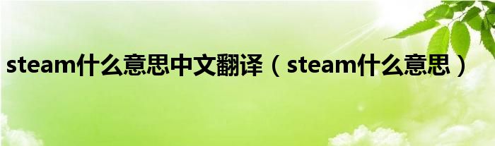 steam什么意思中文翻译（steam什么意思）