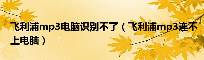 飞利浦mp3电脑识别不了（飞利浦mp3连不上电脑）