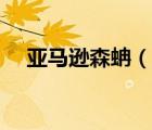 亚马逊森蚺（说一说亚马逊森蚺的简介）
