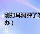 刚打耳洞肿了怎么办不疼（刚打耳洞肿了怎么办）