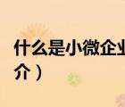 什么是小微企业（说一说什么是小微企业的简介）