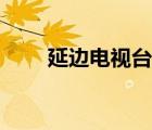 延边电视台党的生活（延边电视台）