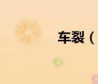 车裂（说一说车裂的简介）