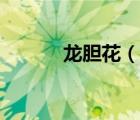 龙胆花（说一说龙胆花的简介）