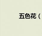 五色花（说一说五色花的简介）