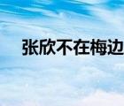 张欣不在梅边在柳边（不在梅边在柳边）