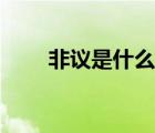 非议是什么意思（非裔是什么意思）
