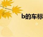 b的车标是什么牌子（b车标）