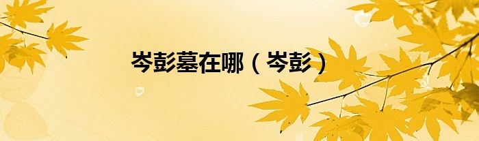 岑彭墓在哪（岑彭）