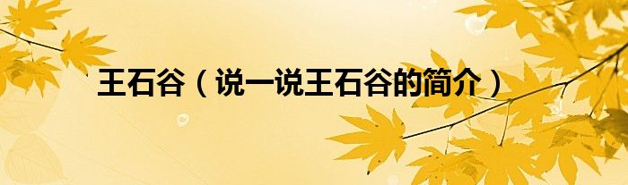 王石谷（说一说王石谷的简介）