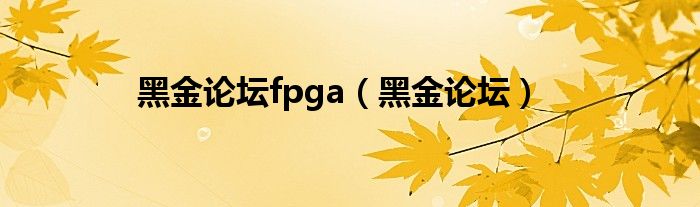 黑金论坛fpga（黑金论坛）