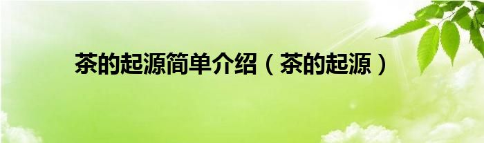 茶的起源简单介绍（茶的起源）