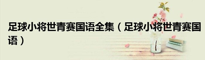 足球小将世青赛国语全集（足球小将世青赛国语）