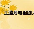 王璐丹电视剧大全（王璐丹主演的电视剧）