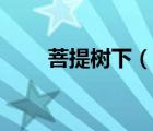 菩提树下（说一说菩提树下的简介）