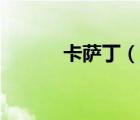 卡萨丁（说一说卡萨丁的简介）