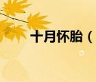 十月怀胎（说一说十月怀胎的简介）