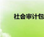 社会审计包括哪些内容（社会审计）