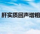 肝实质回声增粗什么意思（肝实质回声增粗）