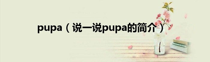 pupa（说一说pupa的简介）