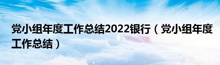 党小组年度工作总结2022银行（党小组年度工作总结）