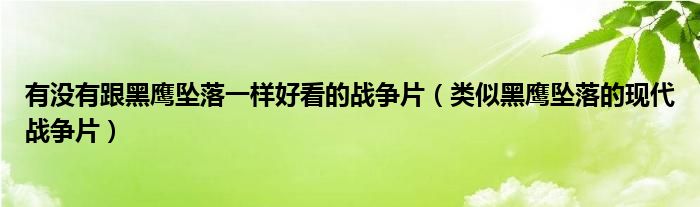 有没有跟黑鹰坠落一样好看的战争片（类似黑鹰坠落的现代战争片）