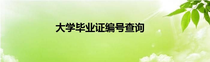 大学毕业证编号查询