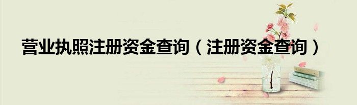 营业执照注册资金查询（注册资金查询）