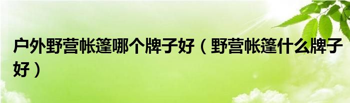 户外野营帐篷哪个牌子好（野营帐篷什么牌子好）
