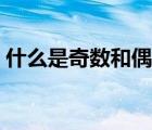 什么是奇数和偶数视频（什么是奇数和偶数）