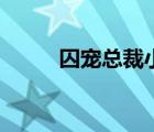 囚宠总裁小说（总裁囚宠娃娃妻）