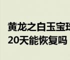黄龙之白玉宝珠多少天能做出来（做完双眼皮20天能恢复吗）