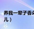 养我一辈子香朵儿未删减版（养我一辈子香朵儿）