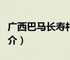 广西巴马长寿村（说一说广西巴马长寿村的简介）