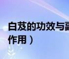 白芨的功效与副作用及禁忌（白芨的功效与副作用）
