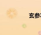 玄参功效与作用是什么