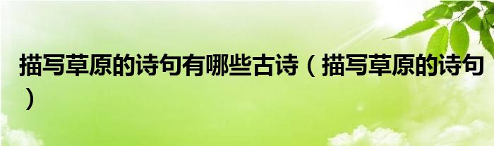 描写草原的诗句有哪些古诗（描写草原的诗句）