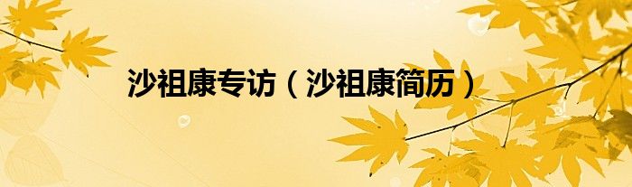 沙祖康专访（沙祖康简历）