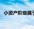 小资产阶级属于资产阶级吗（小资产阶级）