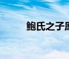 鲍氏之子原文及翻译（鲍氏之子）