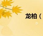 龙柏（说一说龙柏的简介）