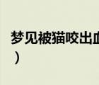 梦见被猫咬出血是什么意思（梦见被猫咬出血）