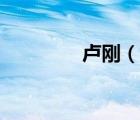 卢刚（说一说卢刚的简介）