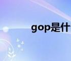 gop是什么意思（什么是GOP）