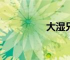 大湿兄影院在线（大湿）